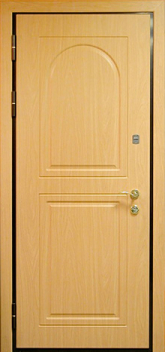 Дверь Порошок №33